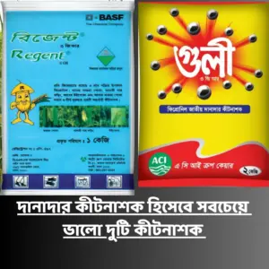 WhatsApp Image 2025-06-05 at 1.23.33 PM (1)