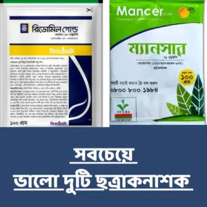 WhatsApp Image 2025-06-05 at 1.23.33 PM (2)