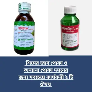 WhatsApp Image 2025-06-05 at 1.23.33 PM (3)