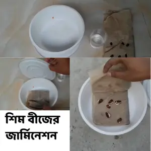 WhatsApp Image 2025-06-05 at 1.36.37 PM