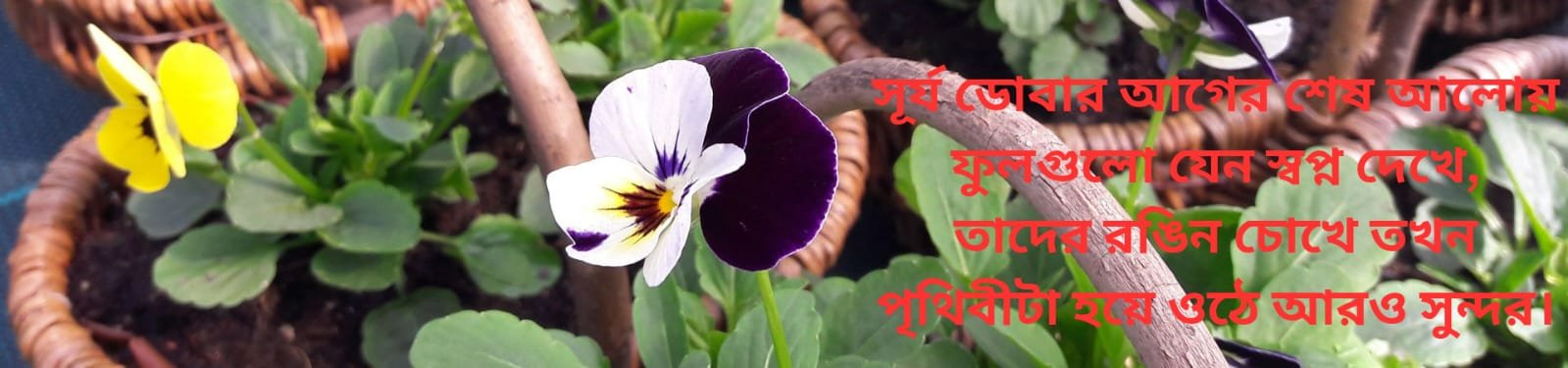 WhatsApp Image 2025-06-07 at 1.30.11 PM