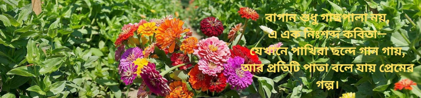 WhatsApp Image 2025-06-07 at 1.32.51 PM
