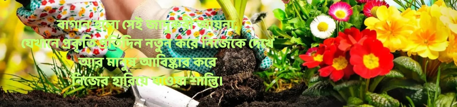 WhatsApp Image 2025-06-07 at 1.35.12 PM
