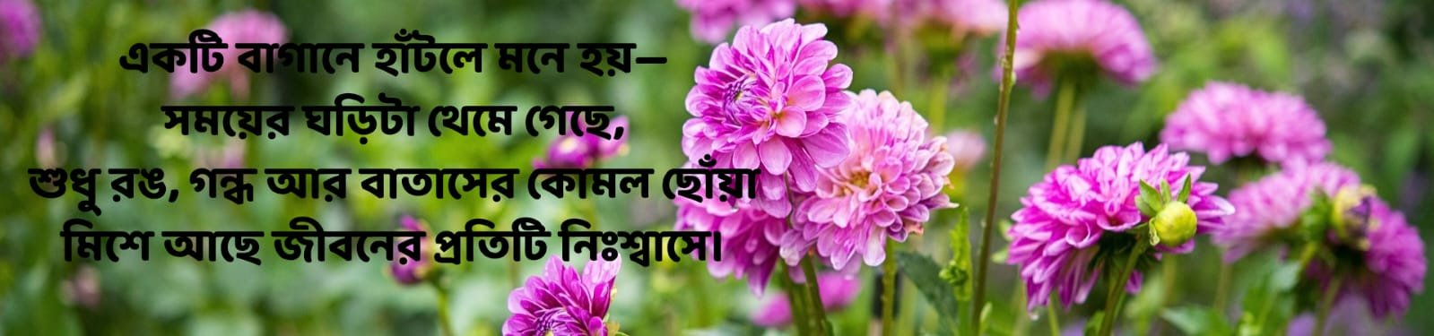 WhatsApp Image 2025-06-07 at 1.37.23 PM