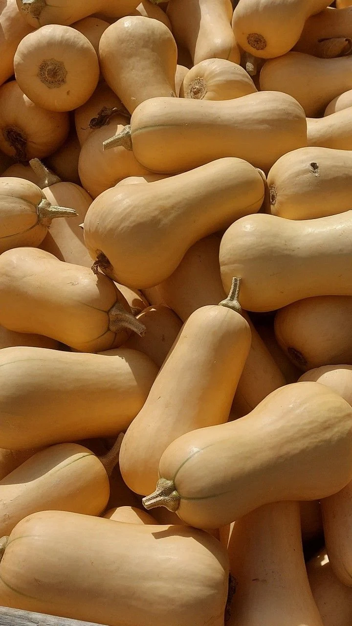 6b55cbb4c49a59eb0a09680282676cb8