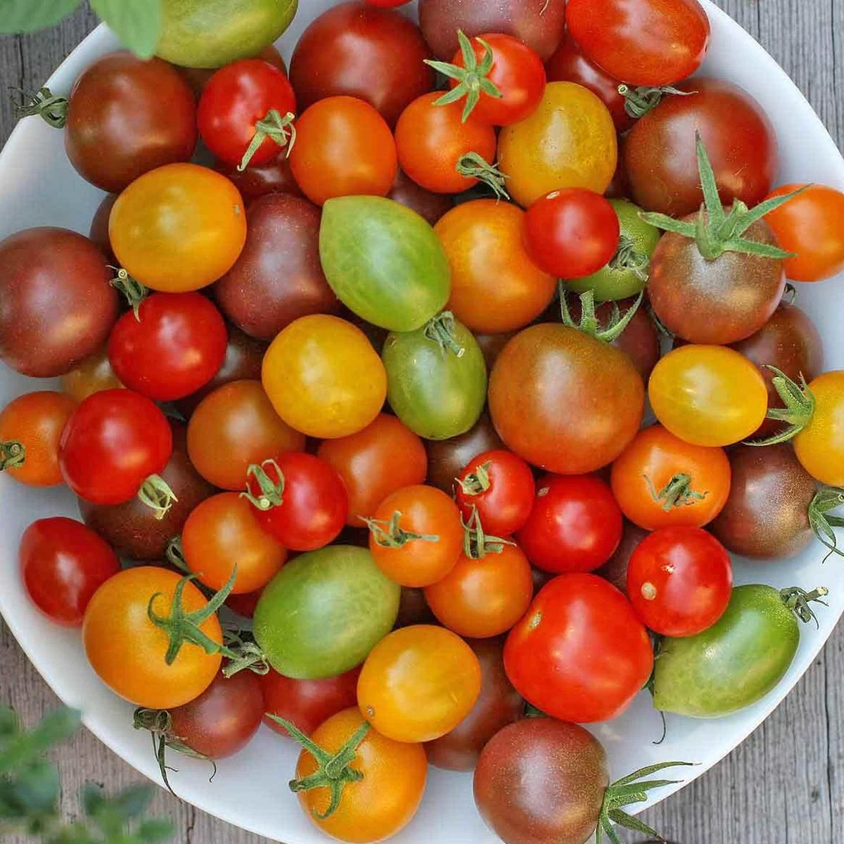 7832626b4e9ebff0ed52683bee7381ae