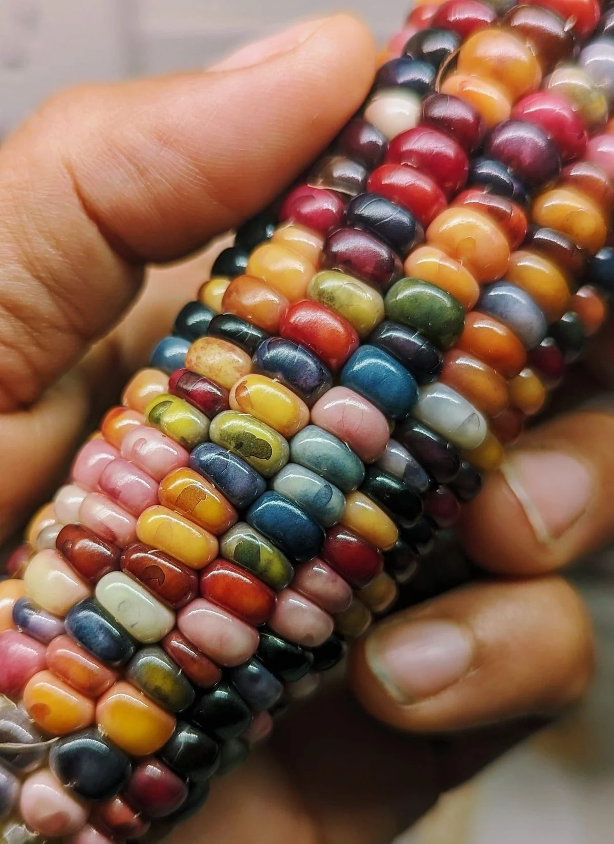 937fec9e37b4b77a46d7f35afecf49b6