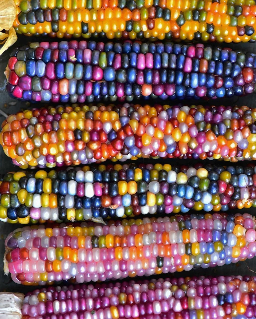 e61733fdaf4a06039fff54e578482add