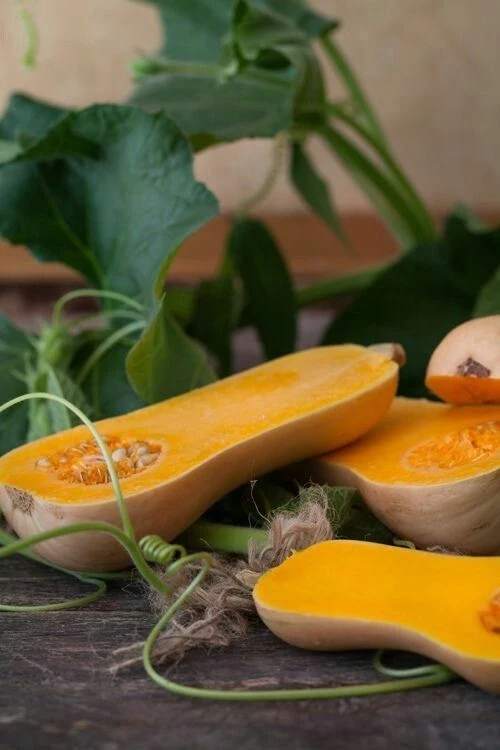 f13ab601002458ecd70b2184c43c98d8