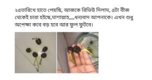 poddo-review-3-300x159