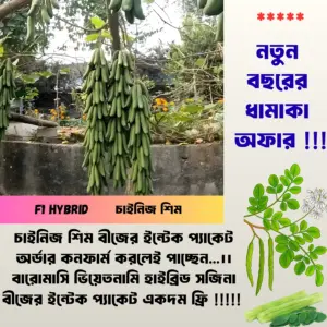 চায়না হাইব্রিড শিম এর ১০ গ্রাম বীজের ইন্টেক প্যাকেট + সাথে ভিয়েতনামি বারোমাসি সজিনা বীজের ইন্টেক প্যাকেট একদম ফ্রি !!!