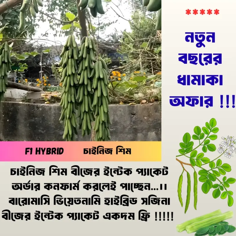 চায়না হাইব্রিড শিম এর ১০ গ্রাম বীজের ইন্টেক প্যাকেট + সাথে ভিয়েতনামি বারোমাসি সজিনা বীজের ইন্টেক প্যাকেট একদম ফ্রি !!!