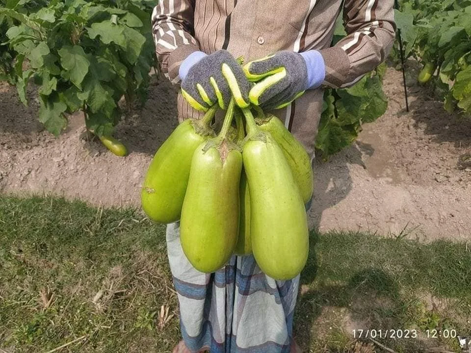 495042978_1277957717670200_5474481502994820704_n