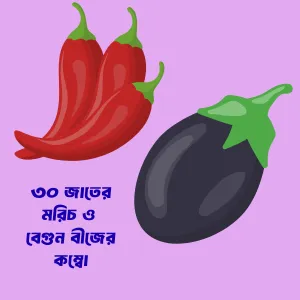 30 Item Chilli & Brinjal Seeds Combo