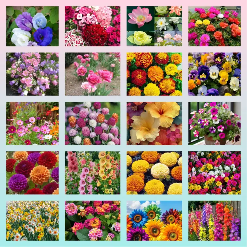 30 Item Flower Seeds Combo