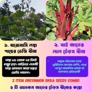 Long & Red okra Seeds Combo [ ২ টি আনকম জাতের ঢেঁড়স বীজের কম্বো ]