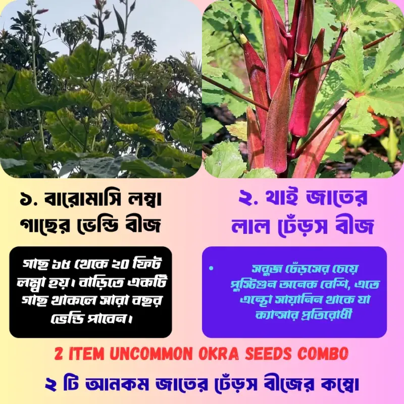 Long & Red okra Seeds Combo [ ২ টি আনকম জাতের ঢেঁড়স বীজের কম্বো ]