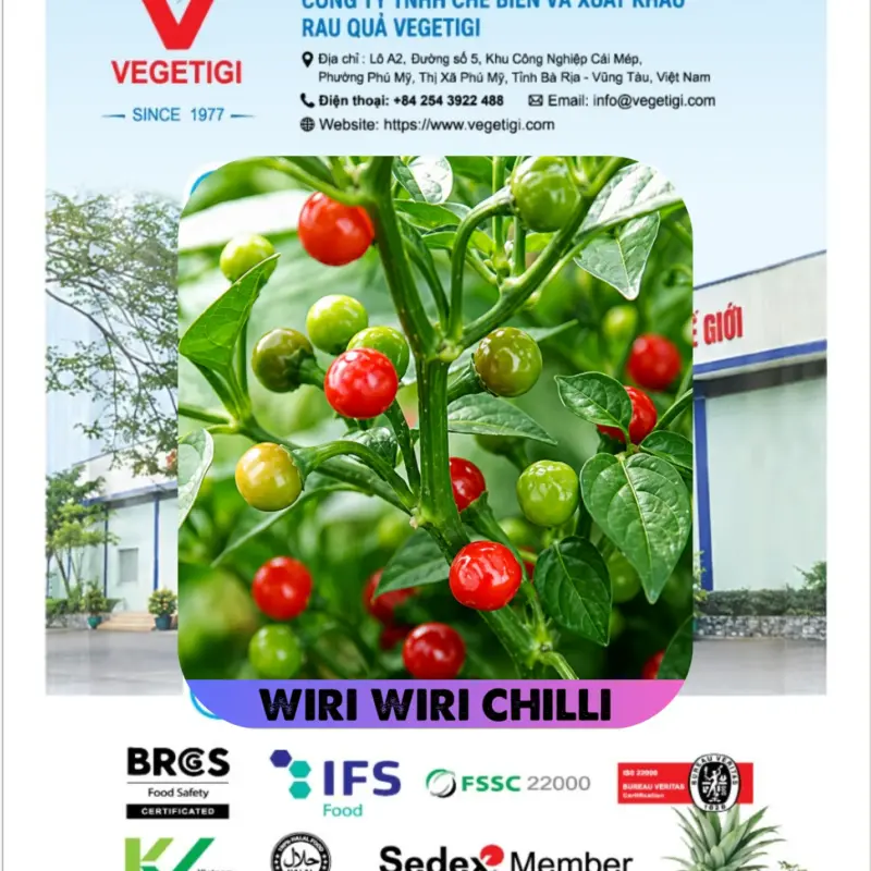 ১০০% অরিজিনাল , ঘি ঘ্রাণযুক্ত "উরি উরি" মরিচ বীজের ইন্টেক প্যাকেট + গাইড লাইন