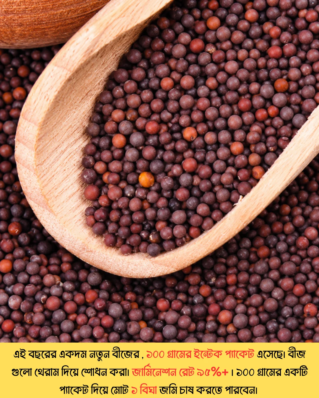 উচ্চফলনশীল পাঞ্জাবের বিখ্যাত F1 হাইব্রিড জাতের সরিষা NAMAN-19 এর ১০০ গ্রামের থেরাম দ্বারা শোধন করা বীজের ইন্টেক প্যাকেট (১ বিঘা সমপরিমাণ জমিতে চাষযোগ্য) - Image 3