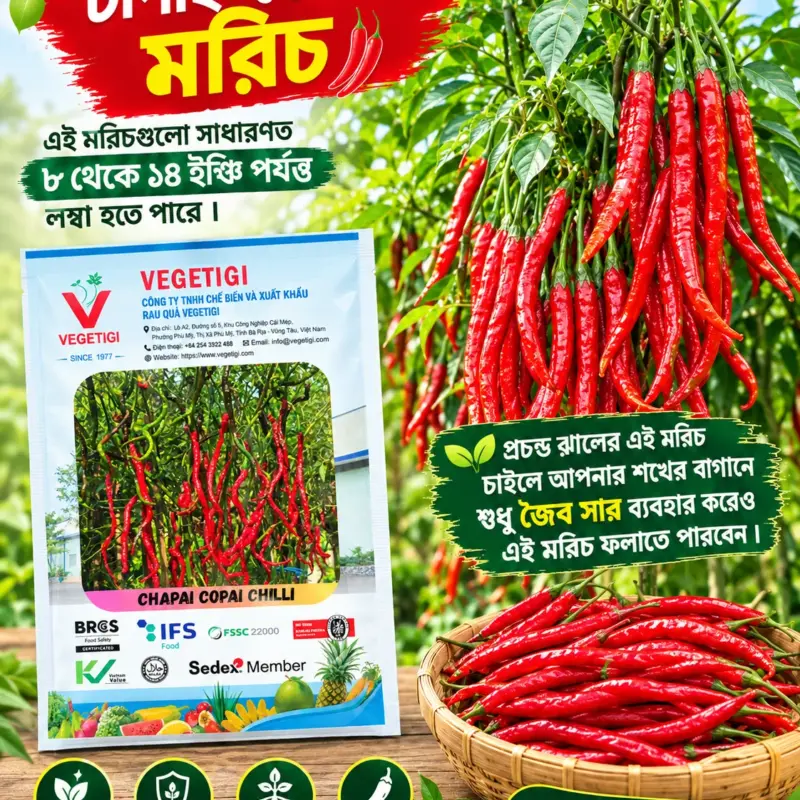 চাপাই-কোপাই মরিচ বীজের ইন্টেক প্যাকেট [ প্রতি প্যাকেটে বীজের পরিমাণ ১৫০ থেকে ২০০ পিস ]
