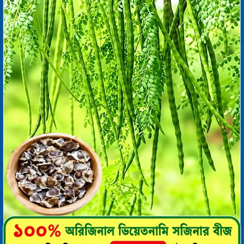 ১০০% অরিজিনাল ভিয়েতনামি সজিনার বীজের ইন্টেক প্যাকেট