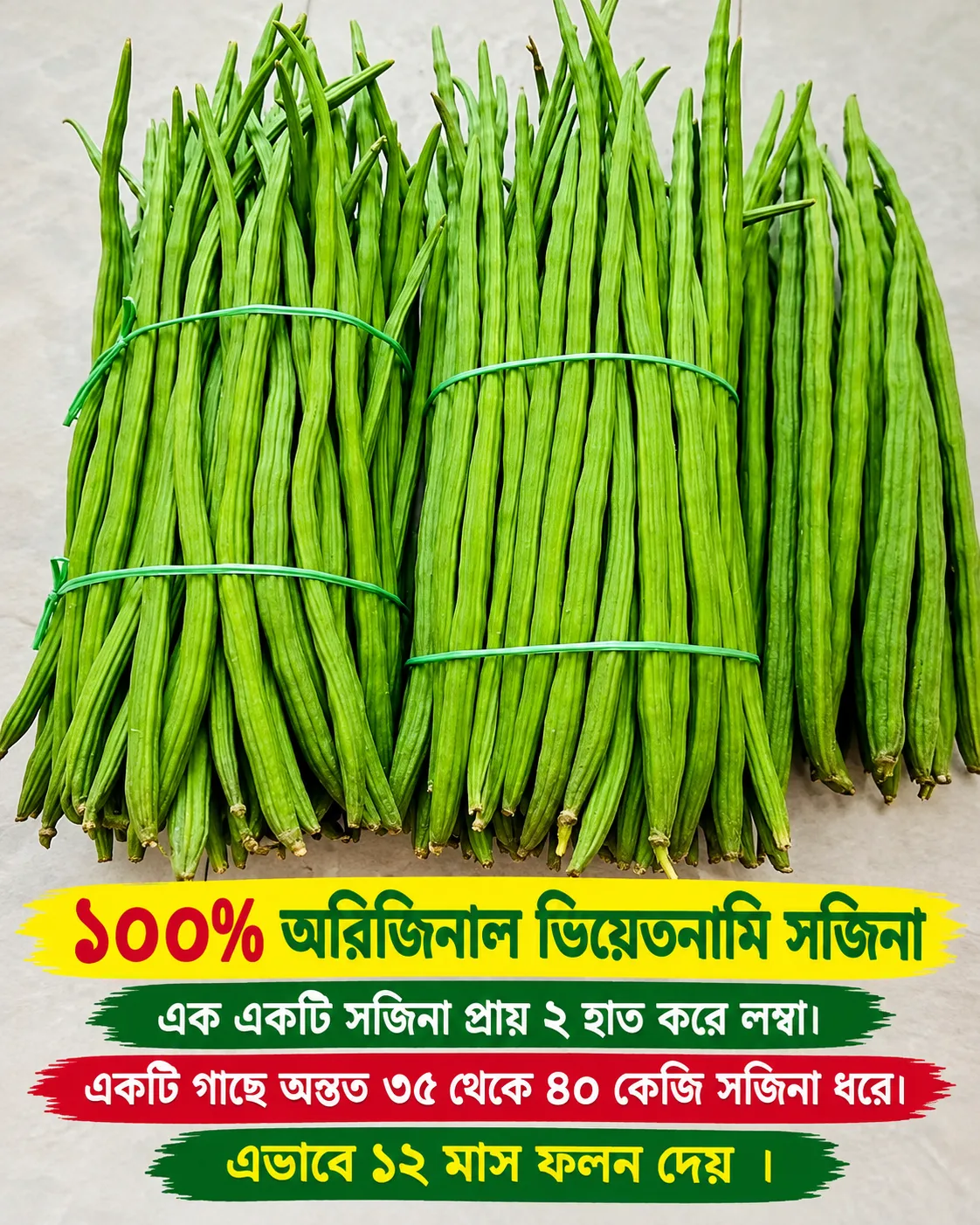 ১০০% অরিজিনাল ভিয়েতনামি সজিনার বীজের ইন্টেক প্যাকেট - Image 2