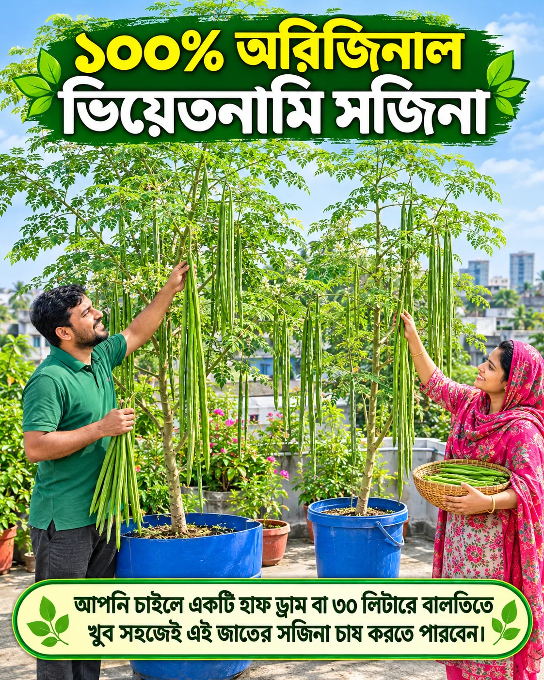 ১০০% অরিজিনাল ভিয়েতনামি সজিনার বীজের ইন্টেক প্যাকেট - Image 5